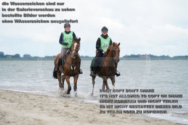 s_K3F04983.JPG